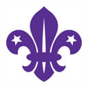 wellowscouts.cosmos-cms.co.uk