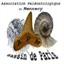 apmfossile.over-blog.com