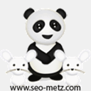 seo-metz.com