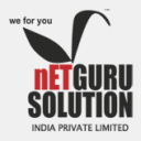 netgurusolutionindia.info