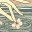 chumani.wordpress.com