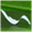 y-web.net