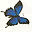 bellabluejungle.com