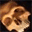 scarehaven.com