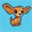 drdog.ch