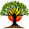 iiidescoop.org