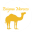 enigmamorocco.com