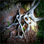 yogan.over-blog.com