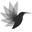 kolibri.pw
