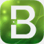 boching.com