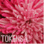 tokens4u.wordpress.com