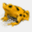 projectgoldenfrog.org