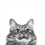 facetimewithcats.com