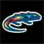 picolizard.com