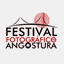 festivalffa.com