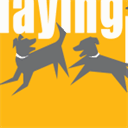 dogsplayingforlife.com