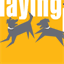 dogsplayingforlife.com