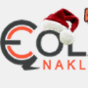 naksealingtechnologies.com