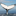 mywhale.org