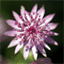 macro.strikingly.com