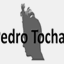 pedrotochas.com