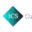 icsconsulting.us