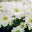 arpeggiofromhell.wordpress.com