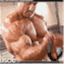 alwaysabodybuilder.wordpress.com