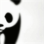 dir01.org