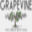 grapevinetub.com