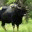 lonefreethinker.wordpress.com