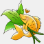 startfreshmaui.com