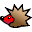 igel.info