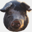 barnyardsbarnyard.com
