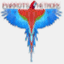 parrotsnetwork.com