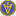 virtualhealthsystems.org