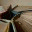 writingeverywhichway.wordpress.com