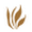 beanfoundation.org