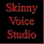 skinnyvoicestudio.wordpress.com
