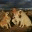 strictlysandi.wordpress.com
