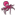 multiwebcr.com