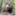 vonbear.wordpress.com