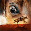 warhorseonstage.com