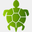 turtlebackwebsolutions.com