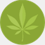 wikiweed.cz