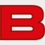 borga.pl