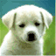 naltertest.wordpress.com