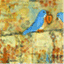 bluebirdsalwaysfly.wordpress.com