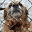 hundehoffnung-ukraine.de