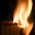 openopine.wordpress.com
